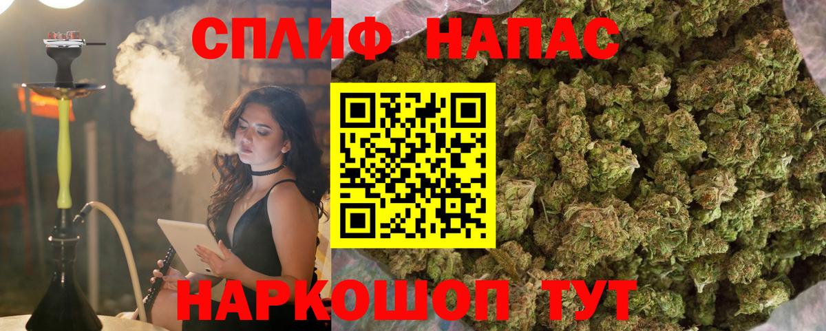 Бошки марихуана планчик  Конопля семена  Каннабис MAZAR  Вход с VPN  Тында  МАРИХУАНА сатива 